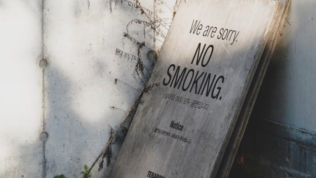 TrixBox Pro y TrixNet ¿Un paso atrás?