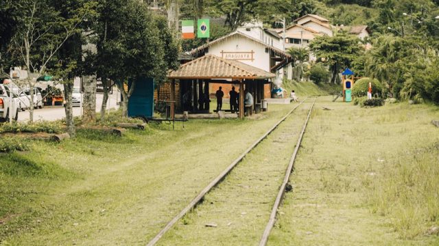 Resumen de la VoIP en este 2008