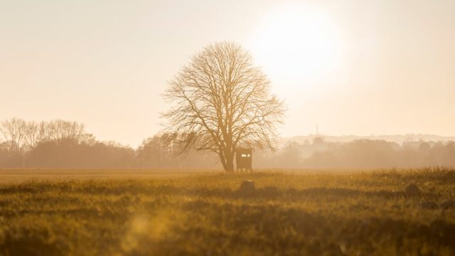 El Gobierno quiere promover el software libre en la Administración