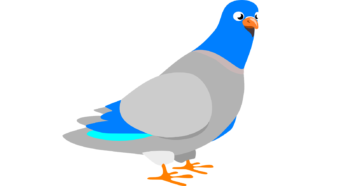 HTTPS explicado con palomas mensajeras